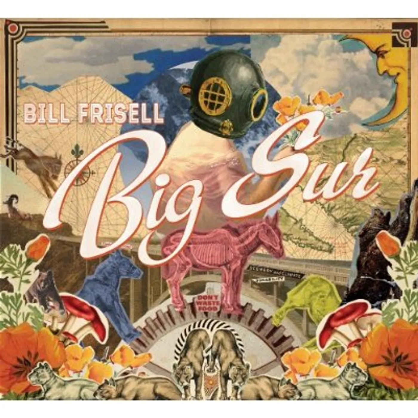Bill Frisell BIG SUR CD