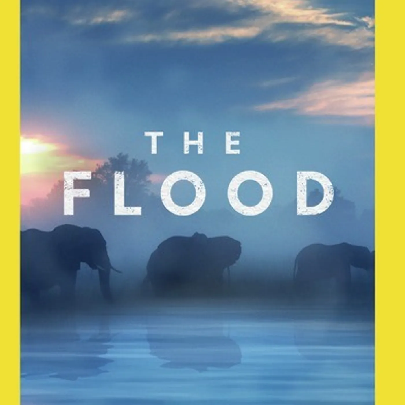 FLOOD DVD