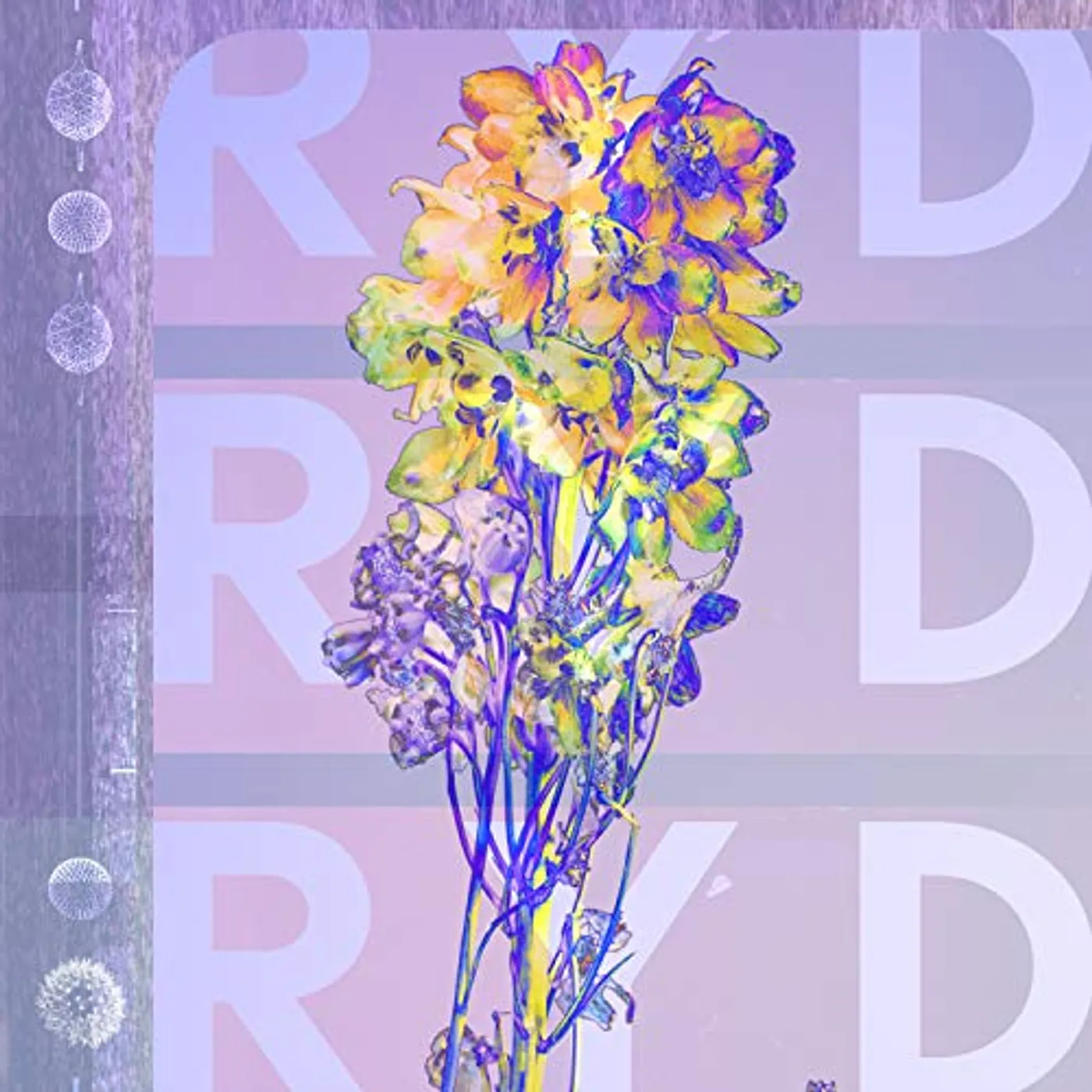 RYD Vinyl Record