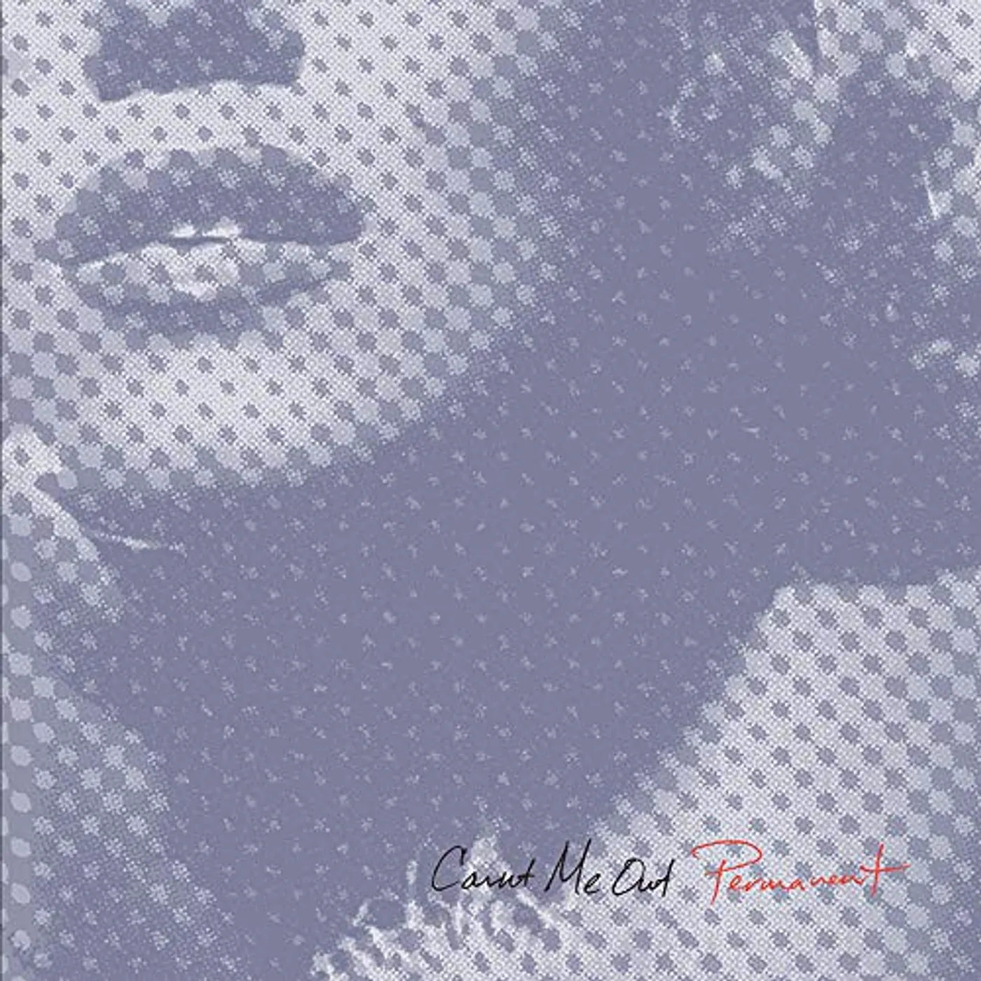 Count Me Out Permanent Vinyl Record