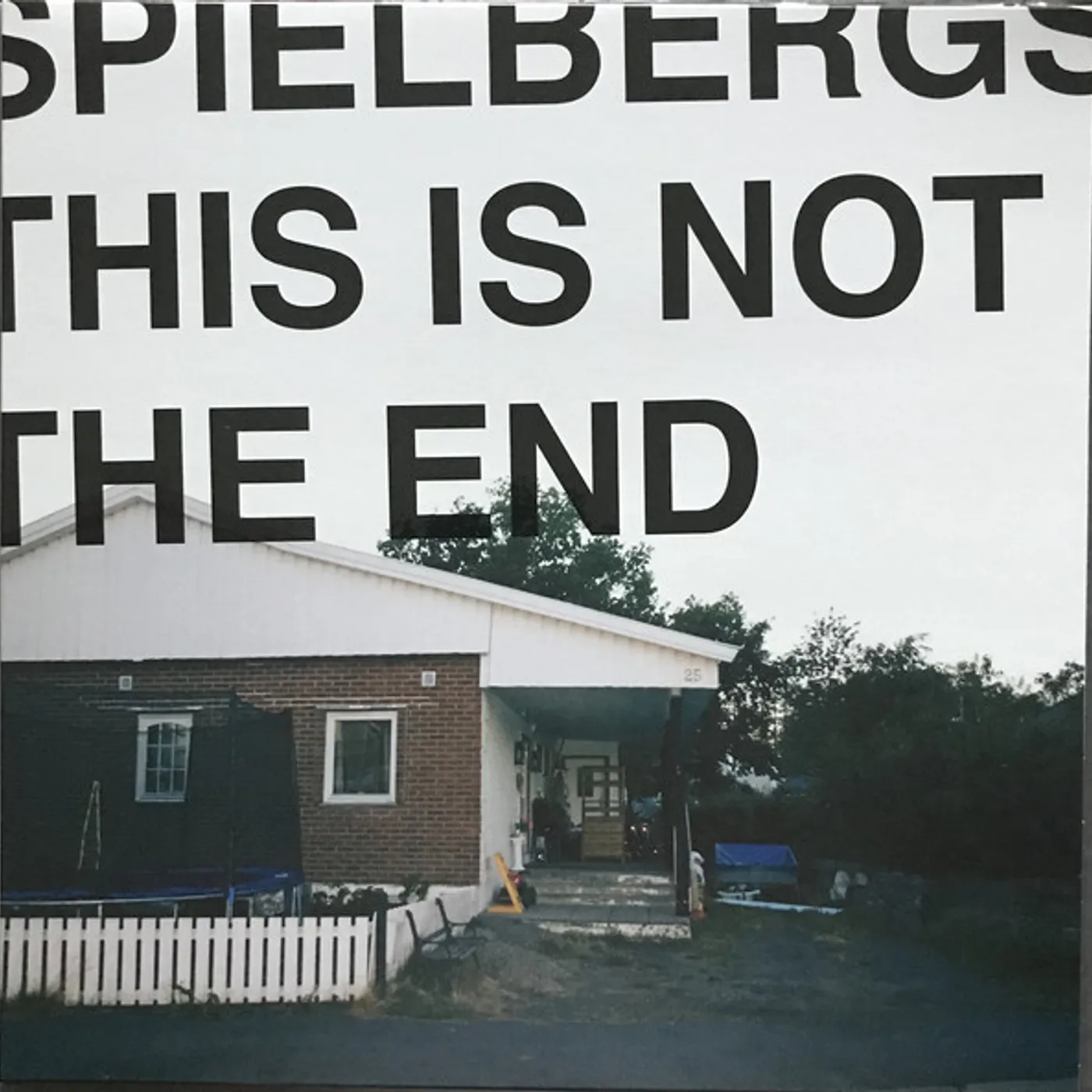 Spielbergs THIS IS NOT THE END Vinyl Record