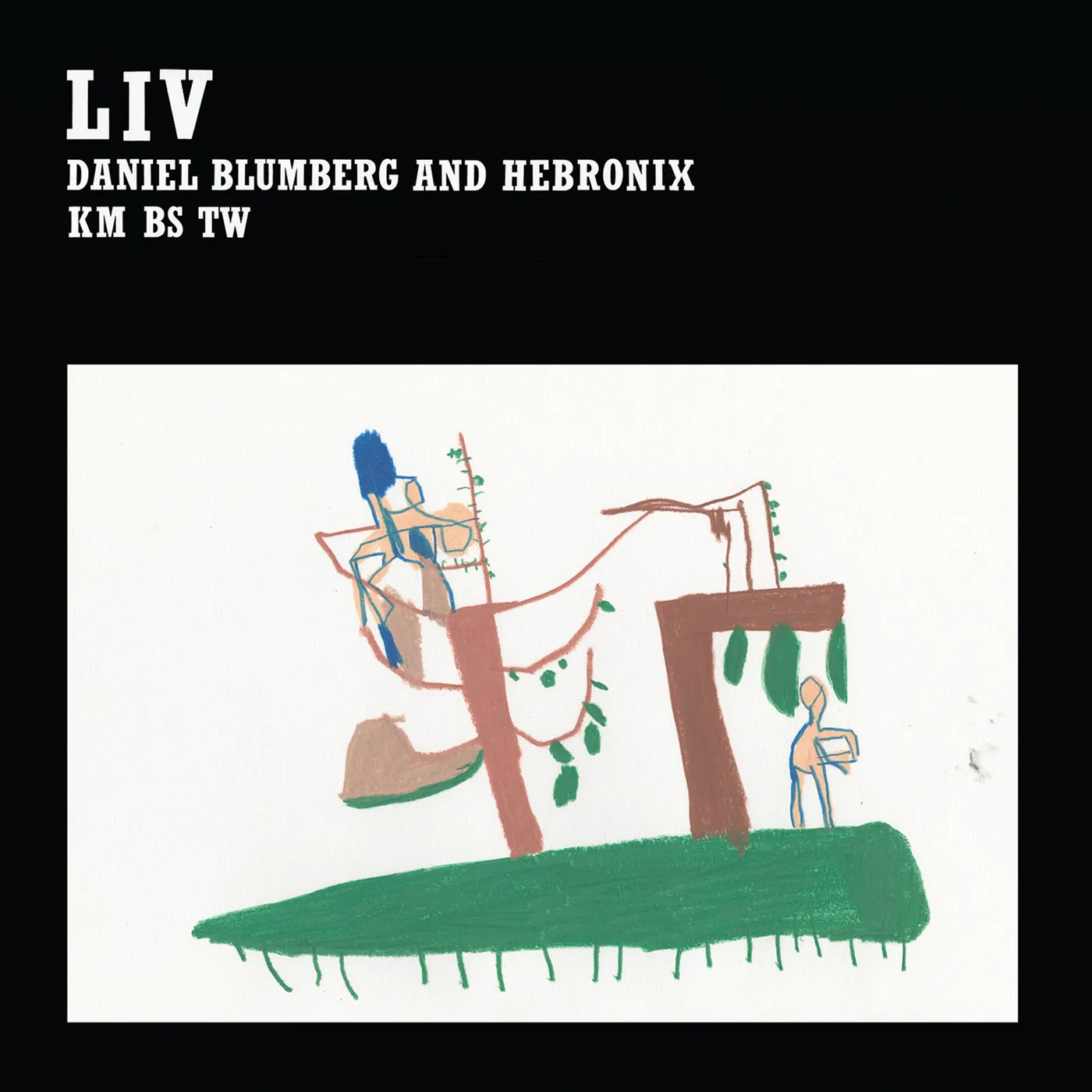 Daniel Blumberg Liv Vinyl Record