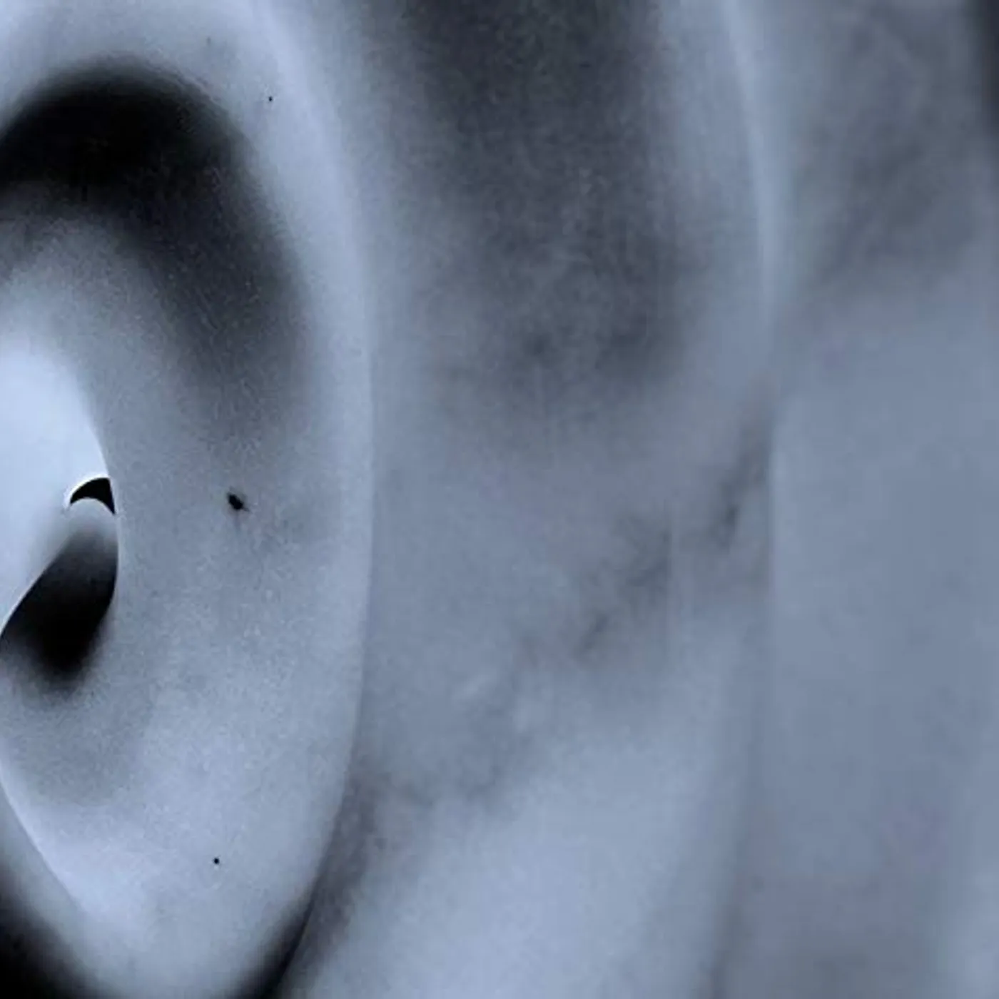 d'Voxx TELEGRAPHE CD