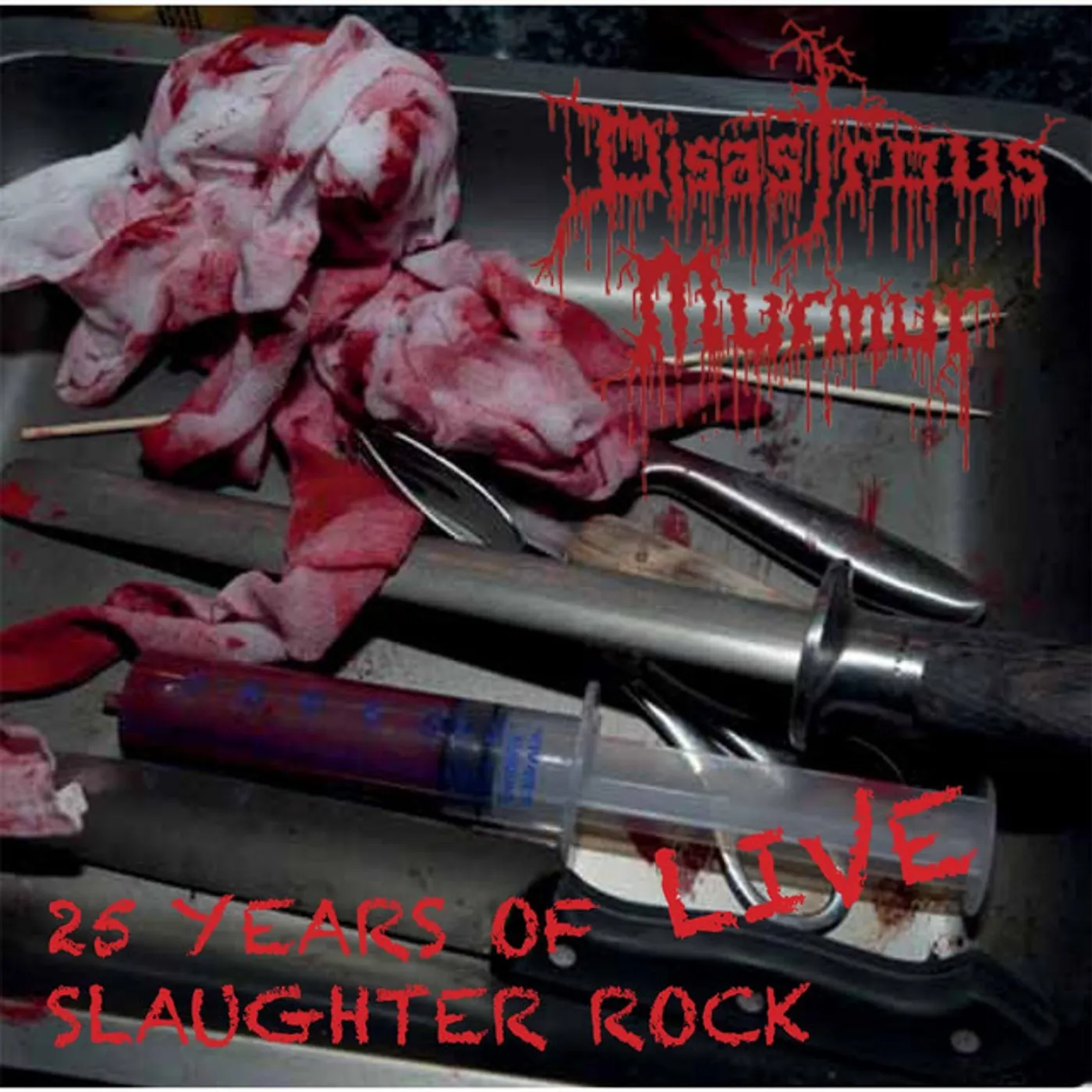 Disastrous Murmur 25 Years of Slaughter Rock Vinyl Record
