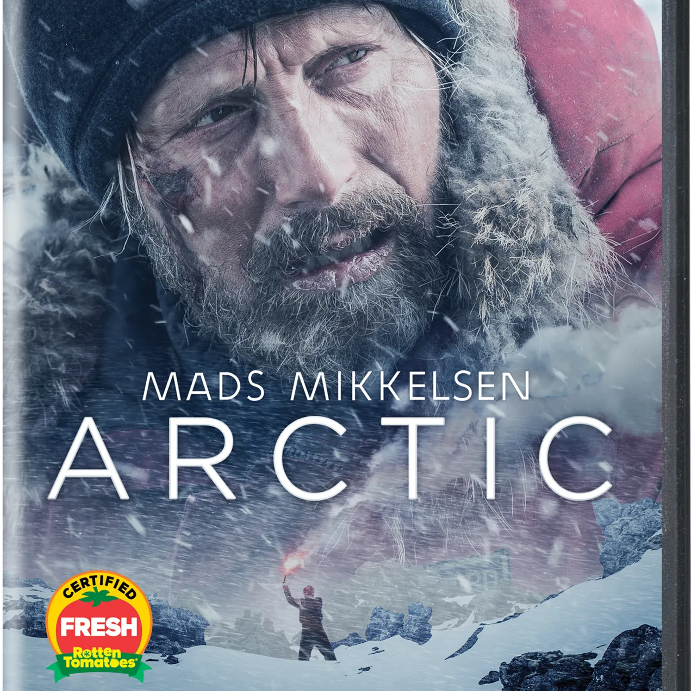 ARCTIC DVD