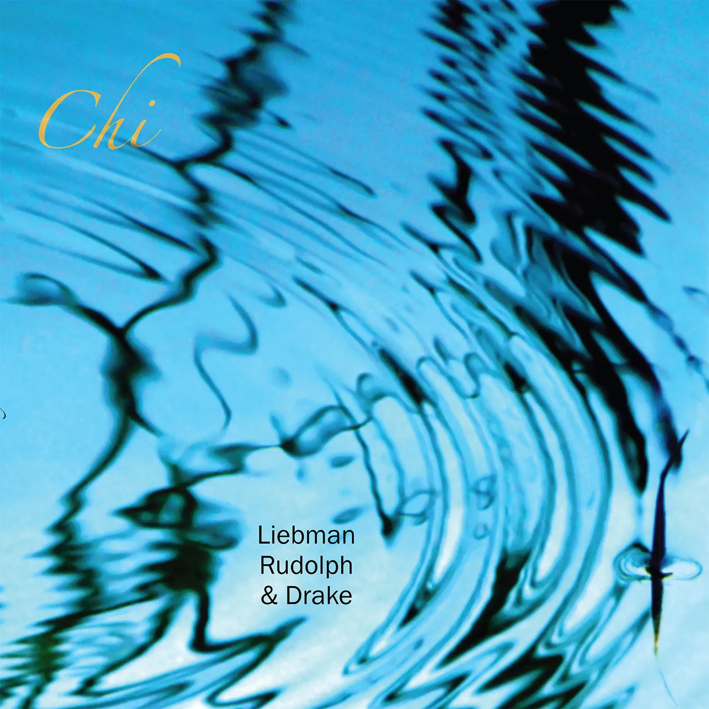 Dave Liebman / Adam Rudolph / Hamid Drake CHI CD