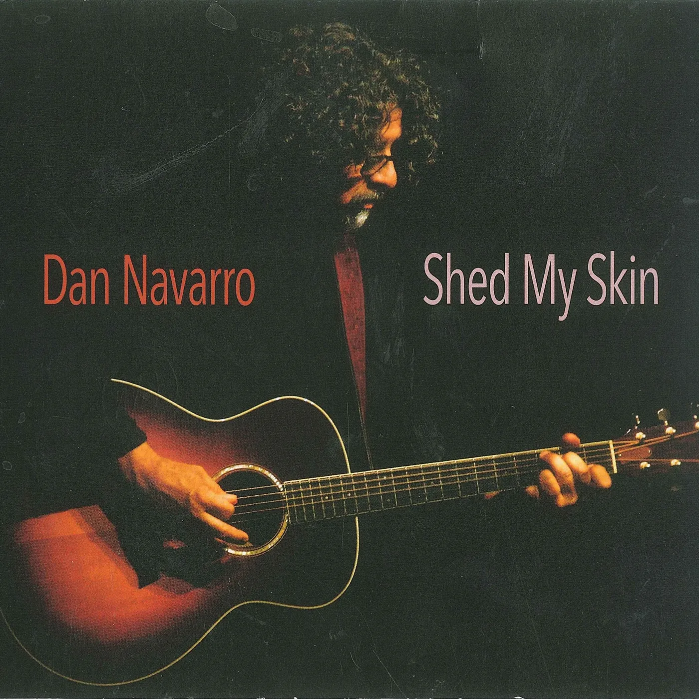 Dan Navarro SHED MY SKIN CD