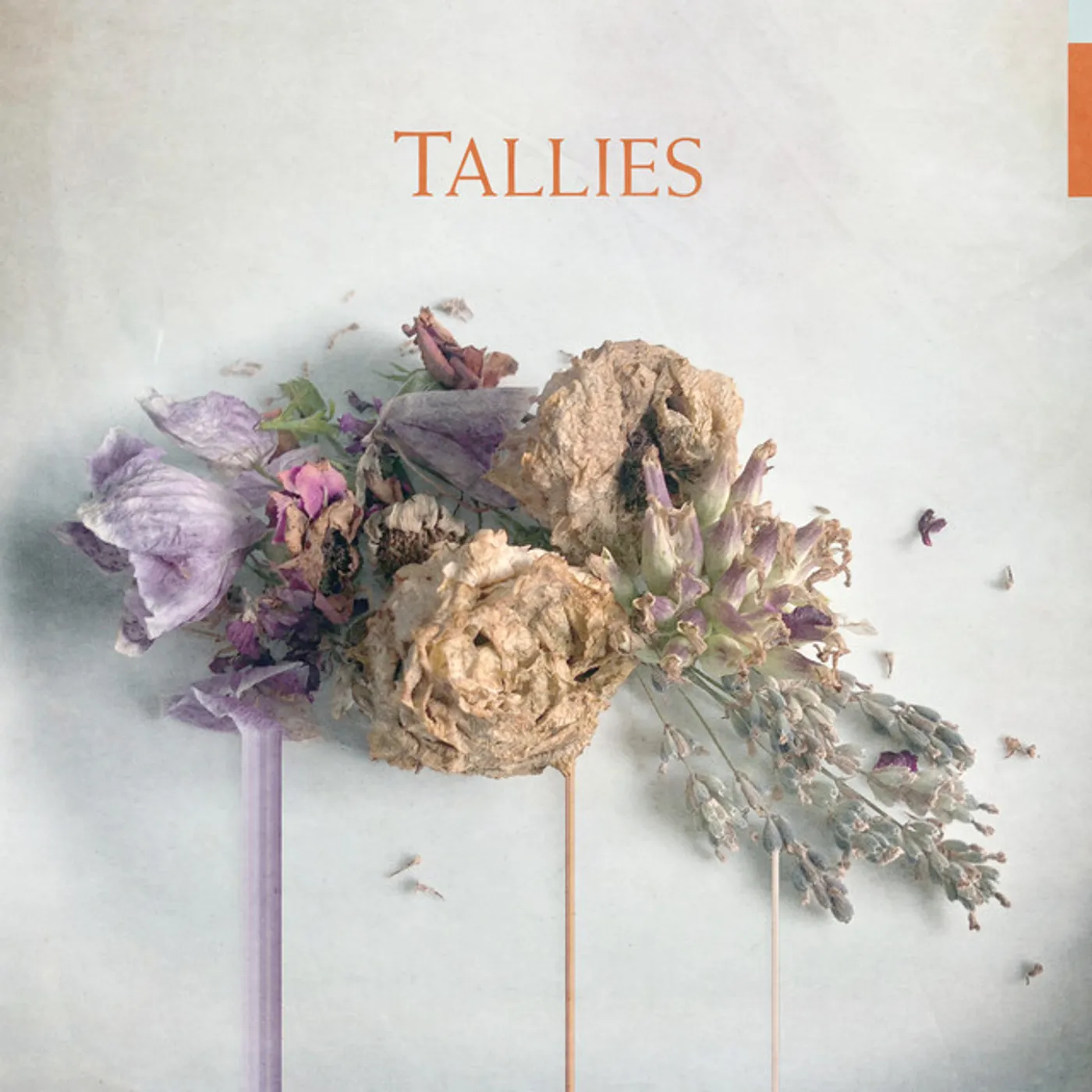 Tallies Vinyl Record