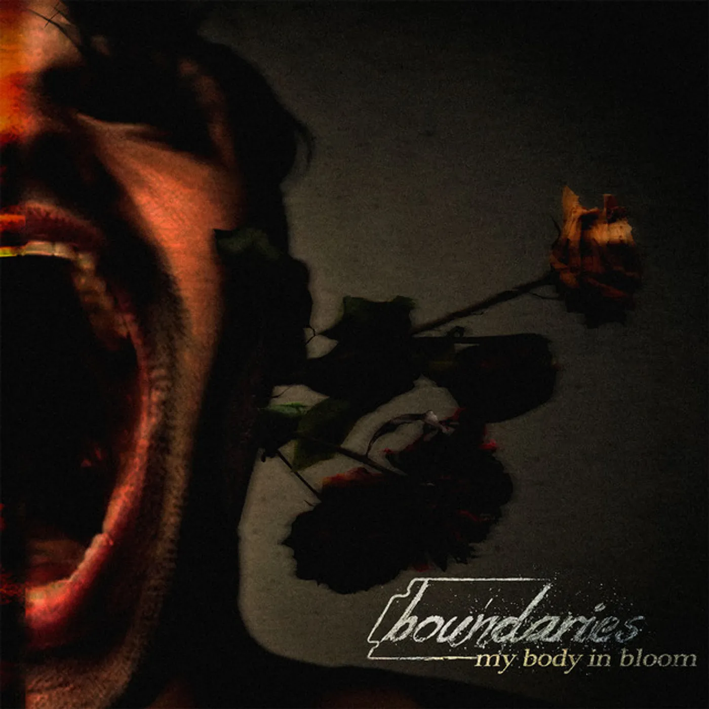 Boundaries My Body in Bloom Vinyl Record