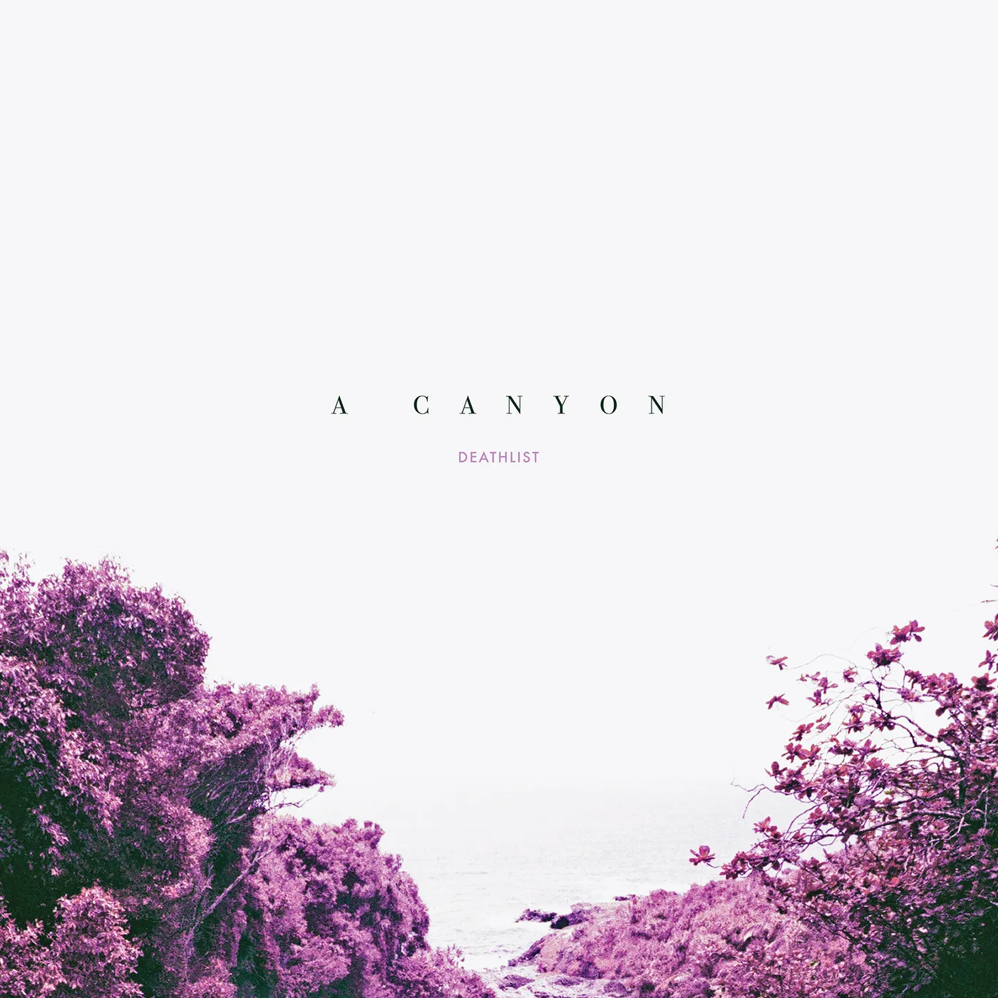 Deathlist A Canyon Vinyl Record