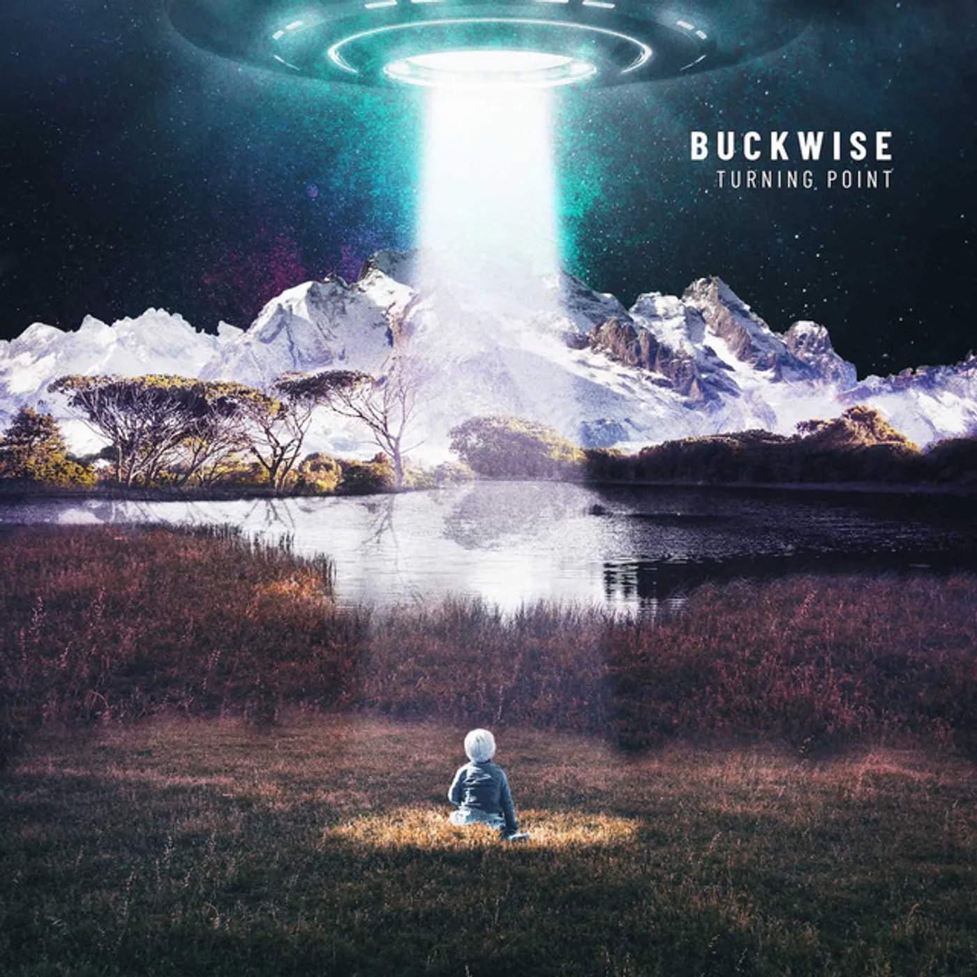 Buckwise Turning Point Vinyl Record