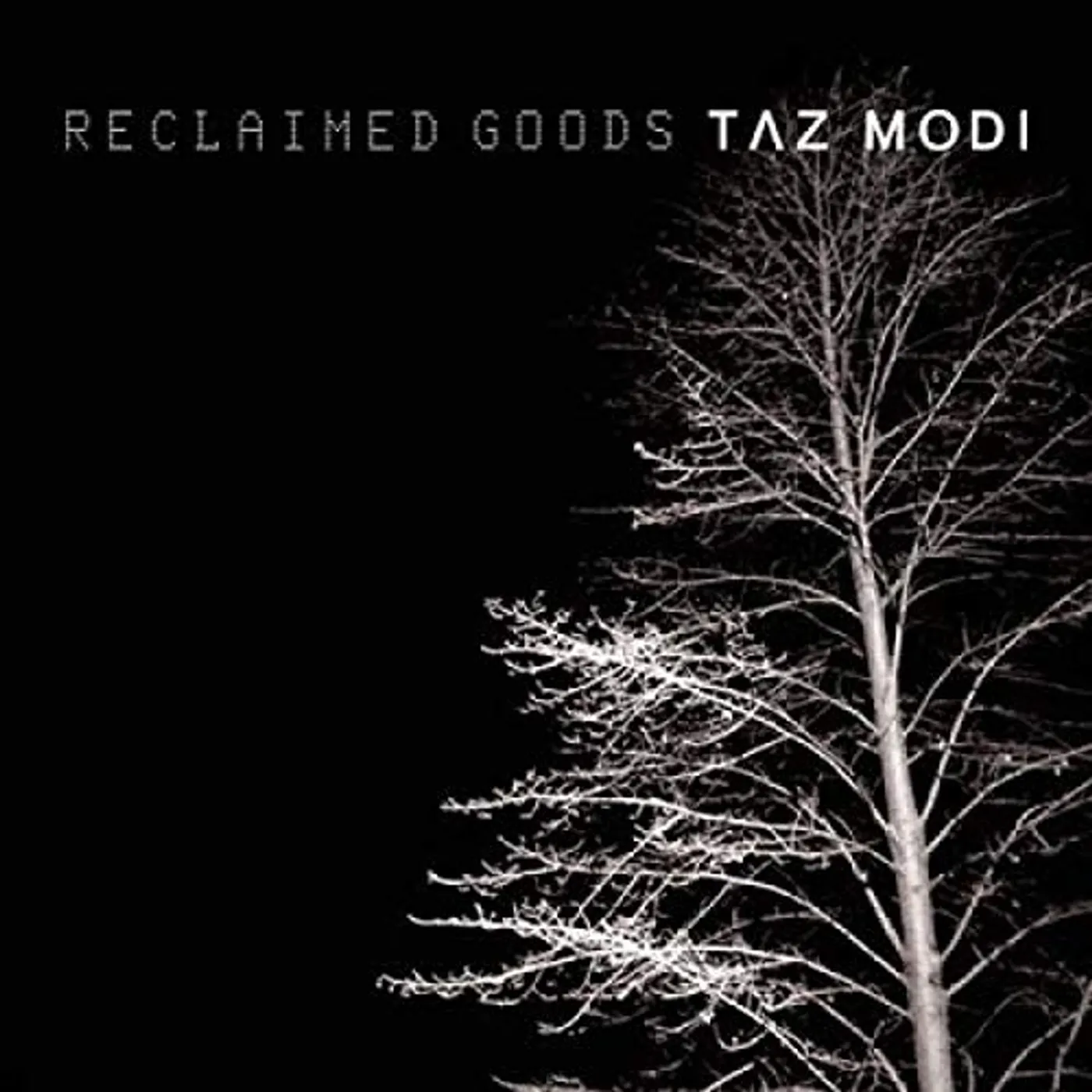 Taz Modi Reclaimed Goods Vinyl Record