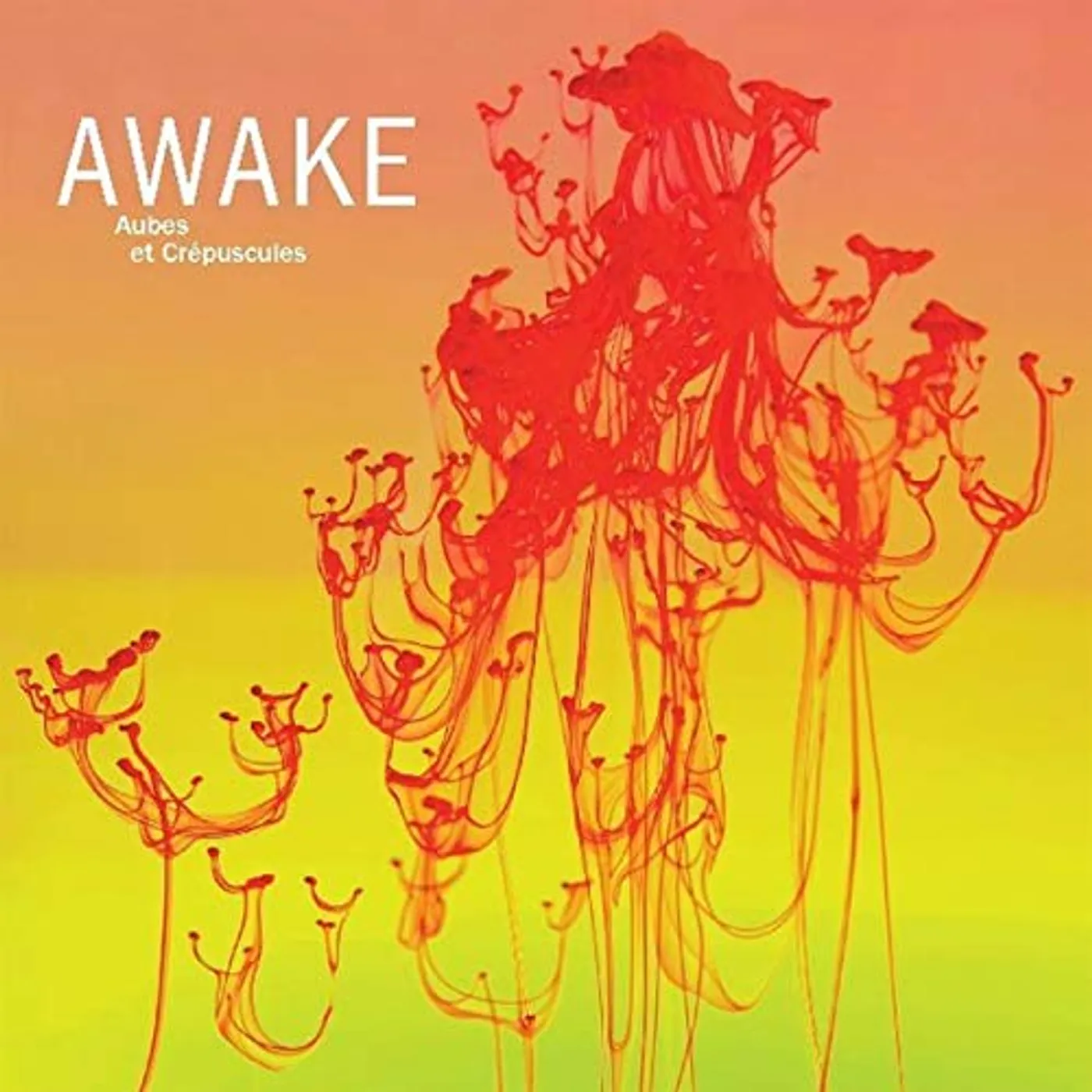 Awake AUBES ET CREPUSCULES CD