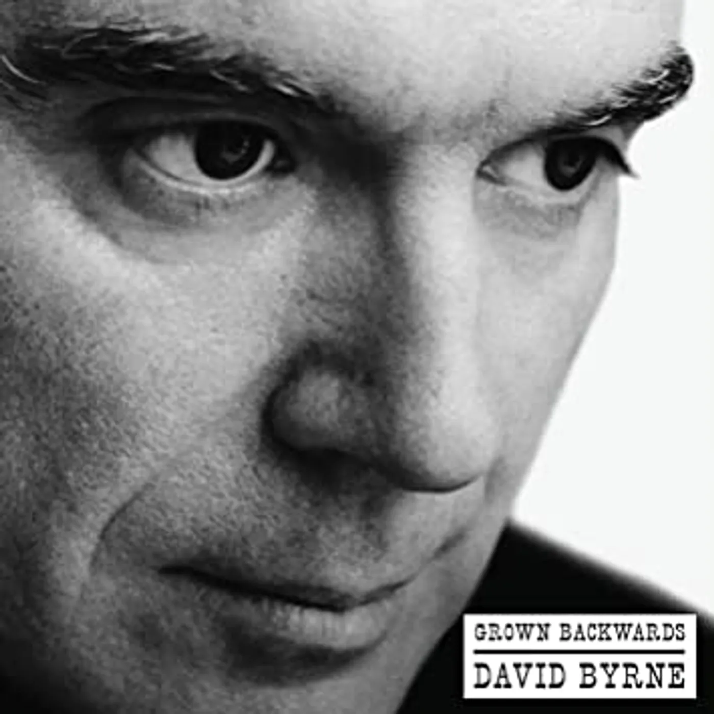 David Byrne Grown Backwards Vinyl Record