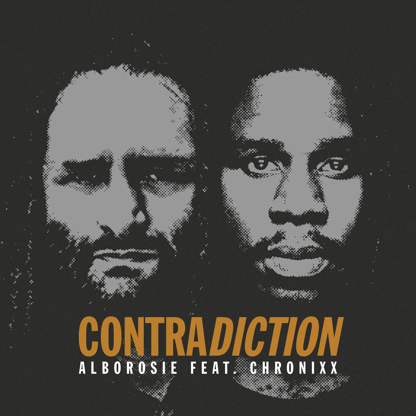 Alborosie CONTRADICTION Vinyl Record