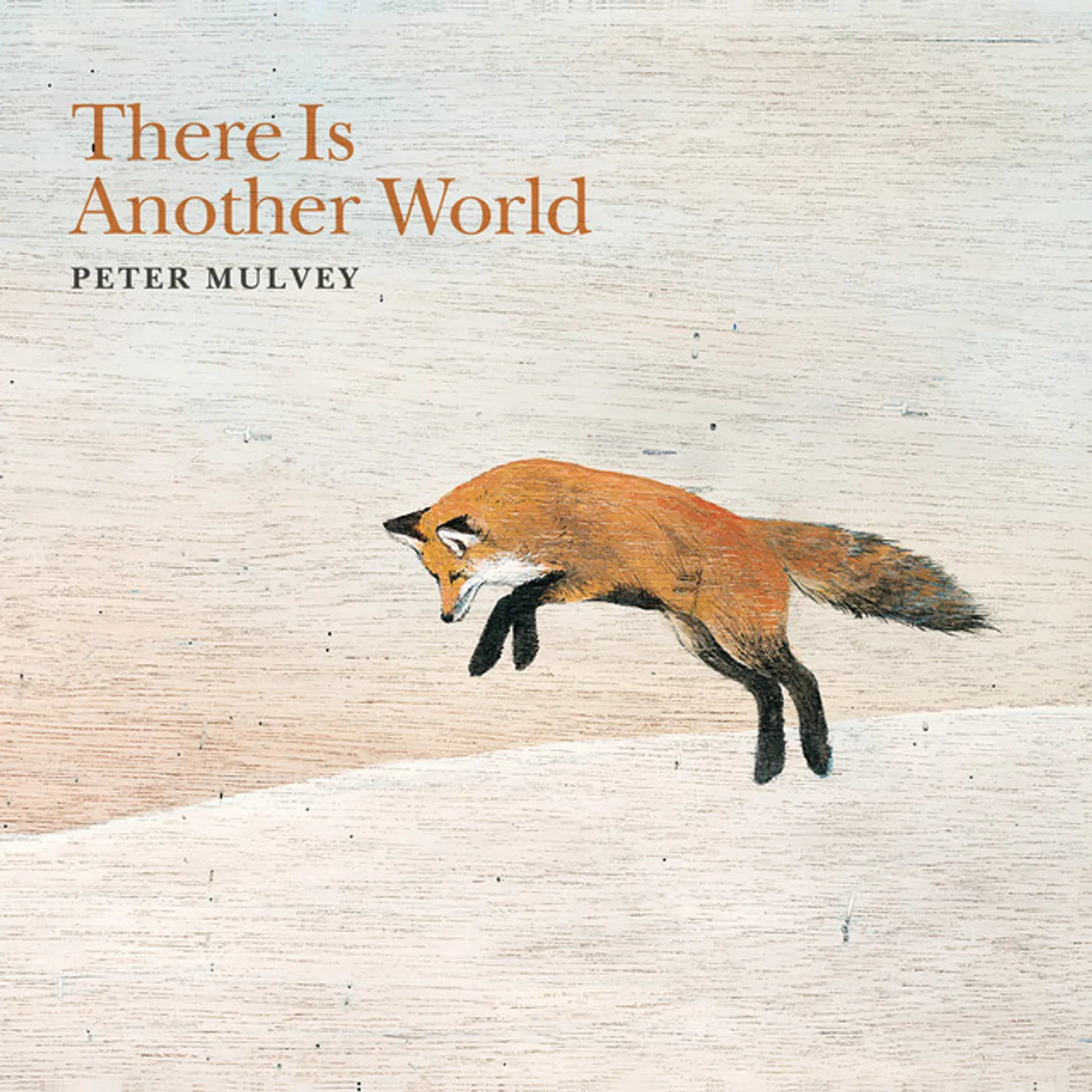 Peter Mulvey THERE IS ANOTHER WORLD CD