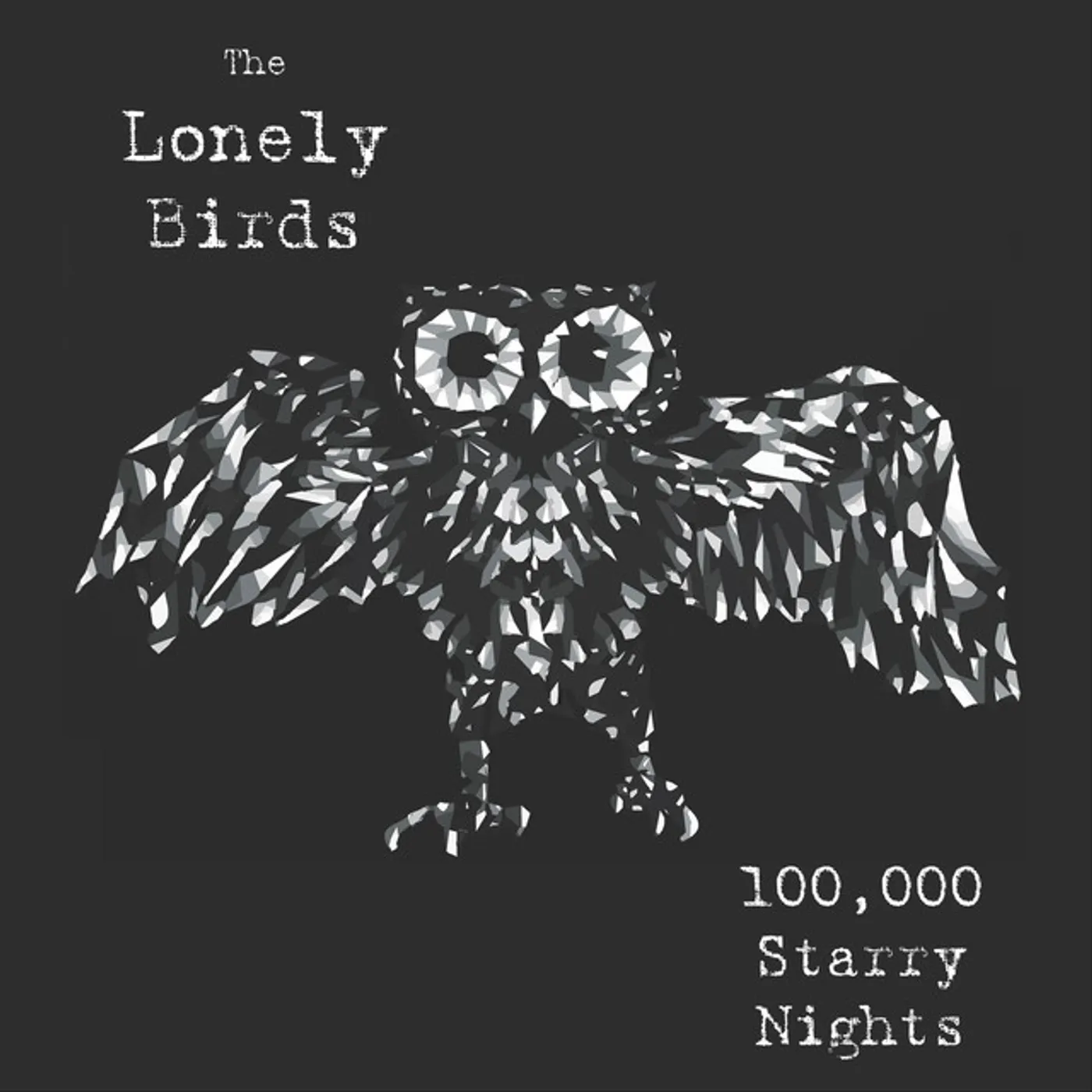 The Lonely Birds 100,000 Starry Nights Vinyl Record
