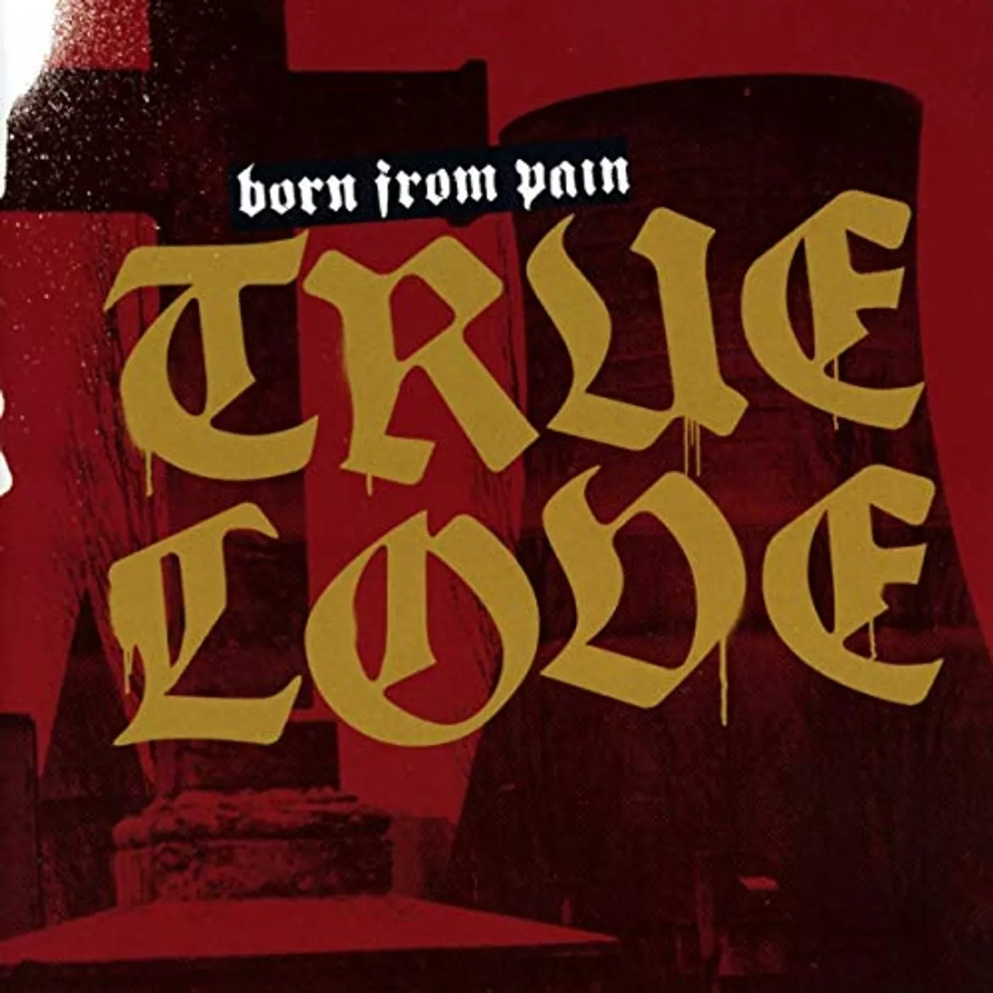 Born From Pain TRUE LOVE CD