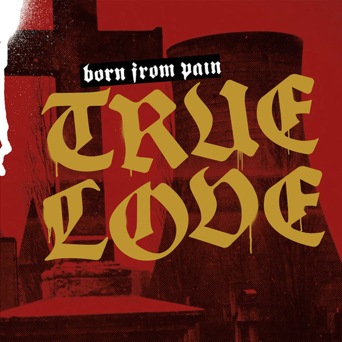 Born From Pain True Love Vinyl Record