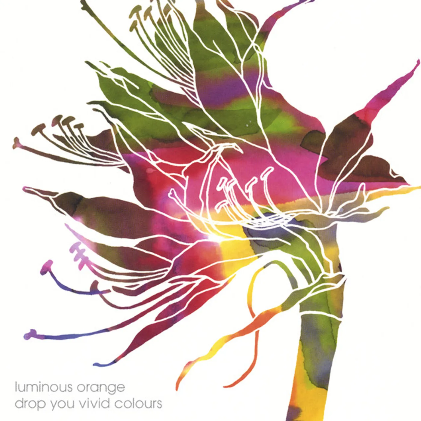 Luminous Orange Brand Page