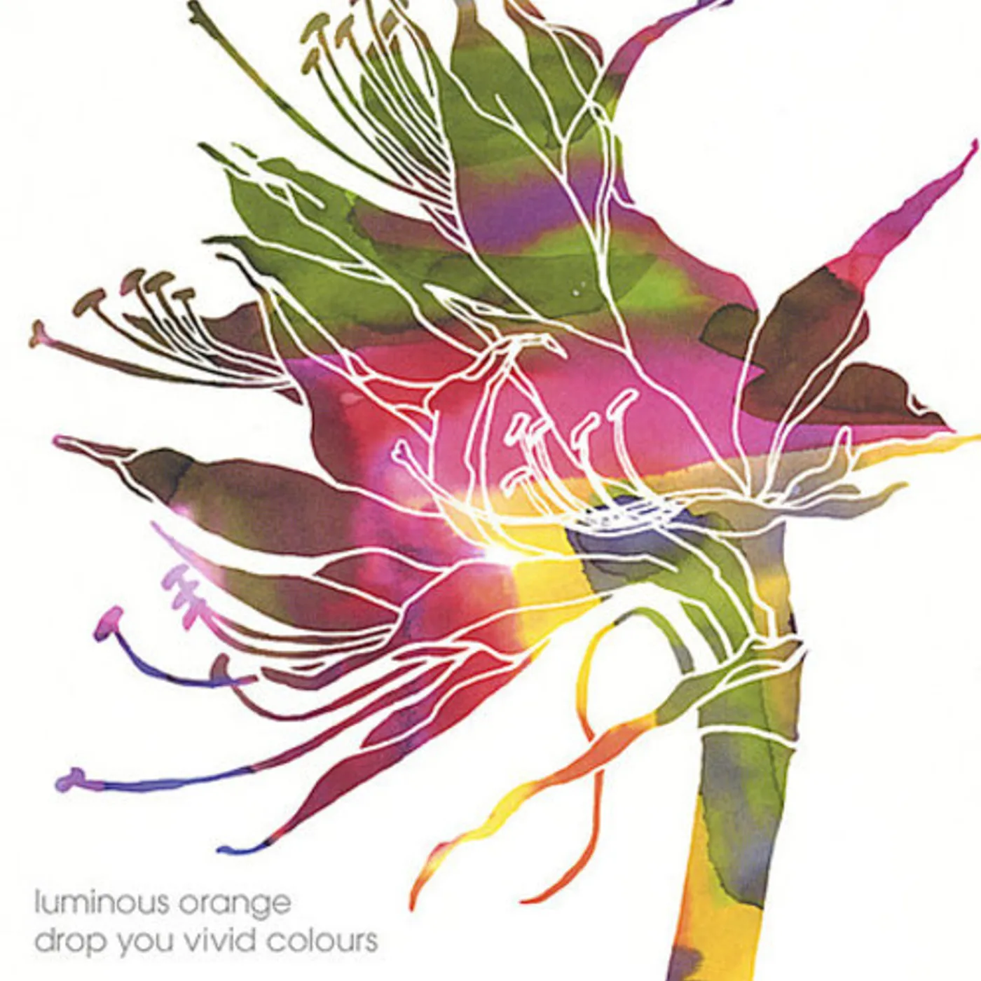 Luminous Orange DROP YOU VIVID COLOURS CD