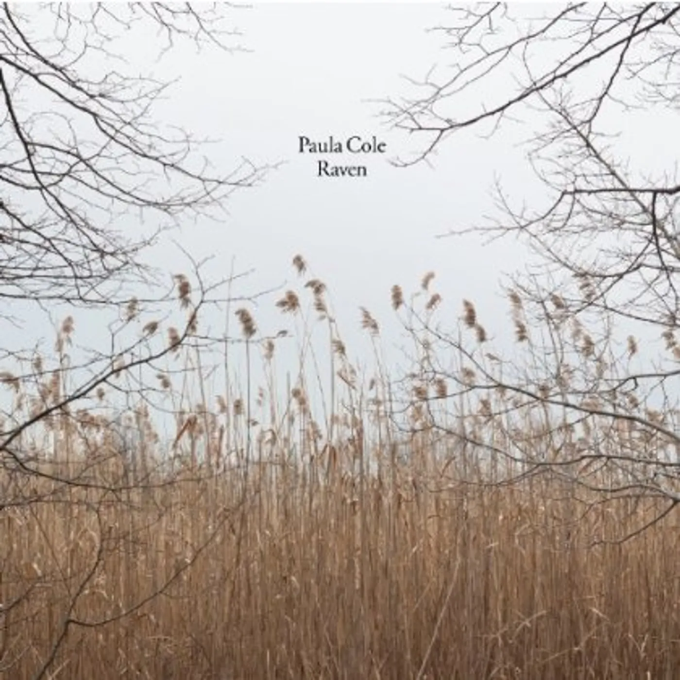 Paula Cole Raven Vinyl Record