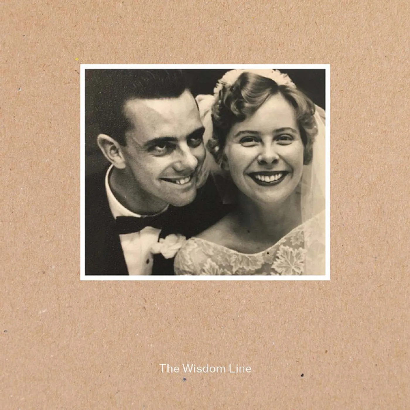 David Bridie WISDOM LINE Vinyl Record