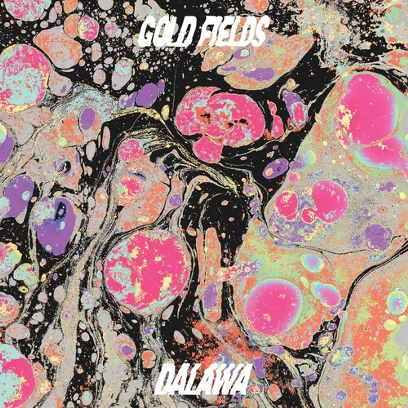 Gold Fields Dalawa Vinyl Record