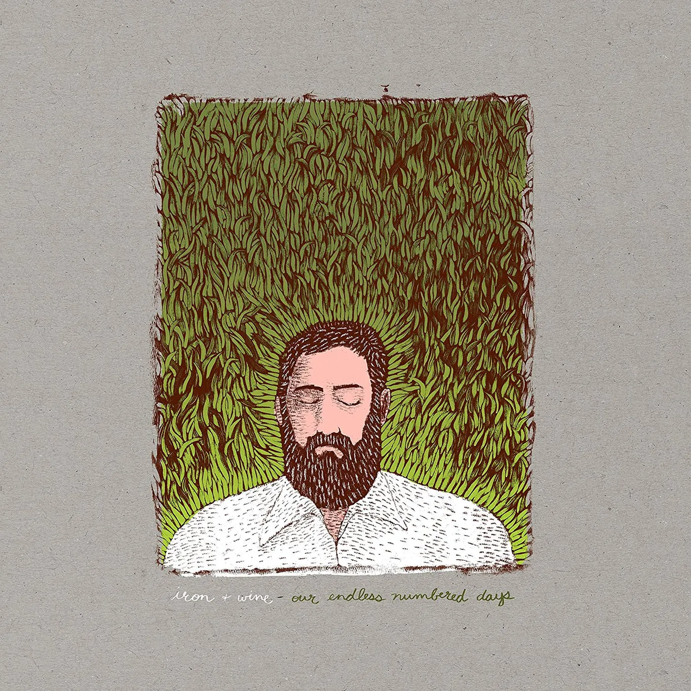 Iron & Wine Our Endless Numbered Days Vinyl Record