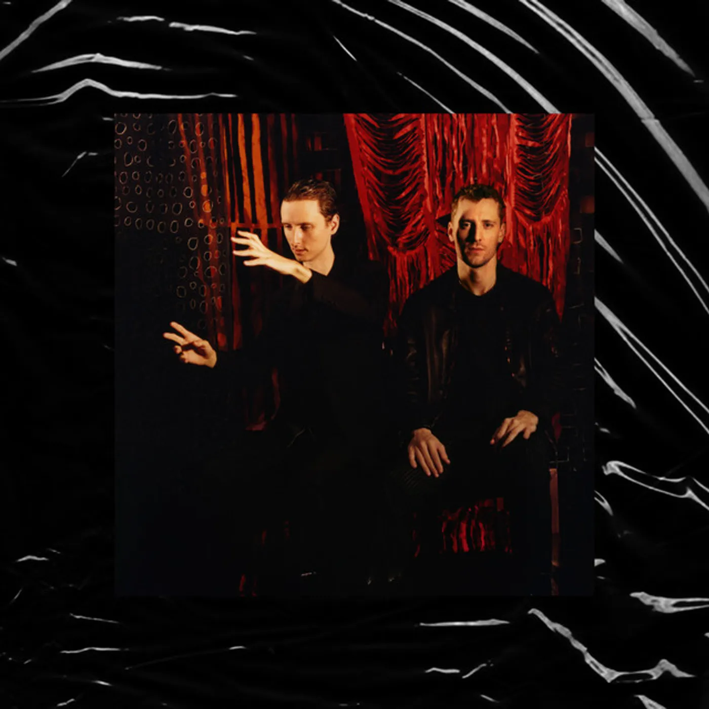 These New Puritans Inside The Rose Vinyl Record