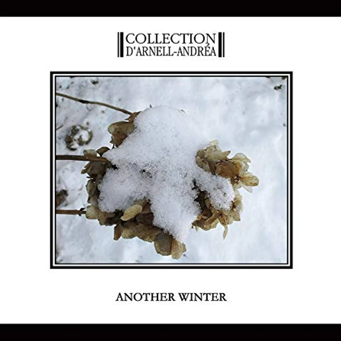 Collection D'Arnell-Andrea ANOTHER WINTER CD