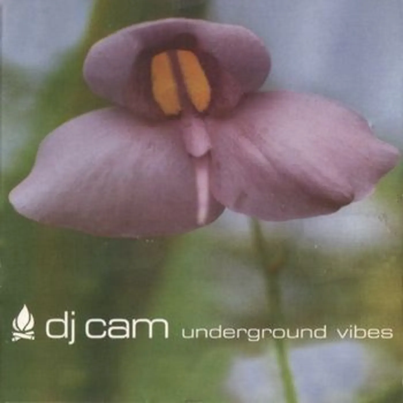DJ Cam Underground Vibes Vinyl Record