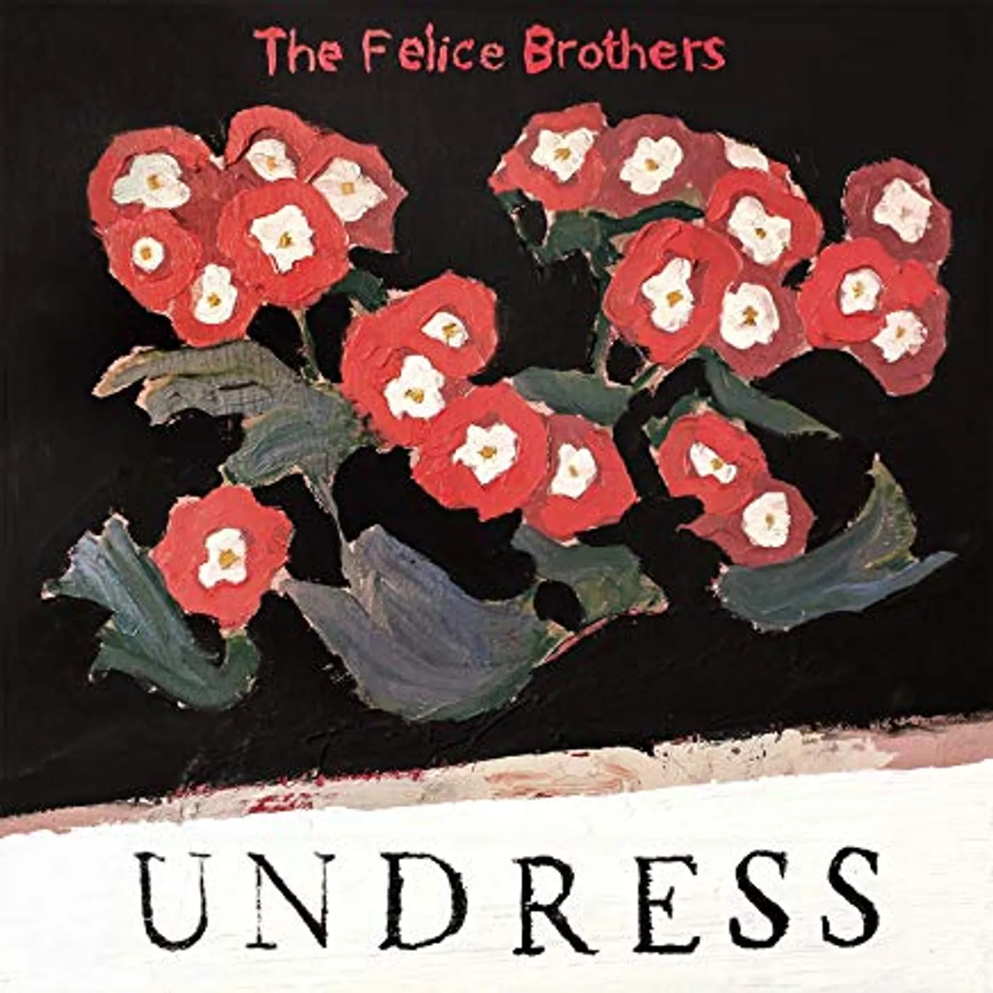The Felice Brothers UNDRESS CD