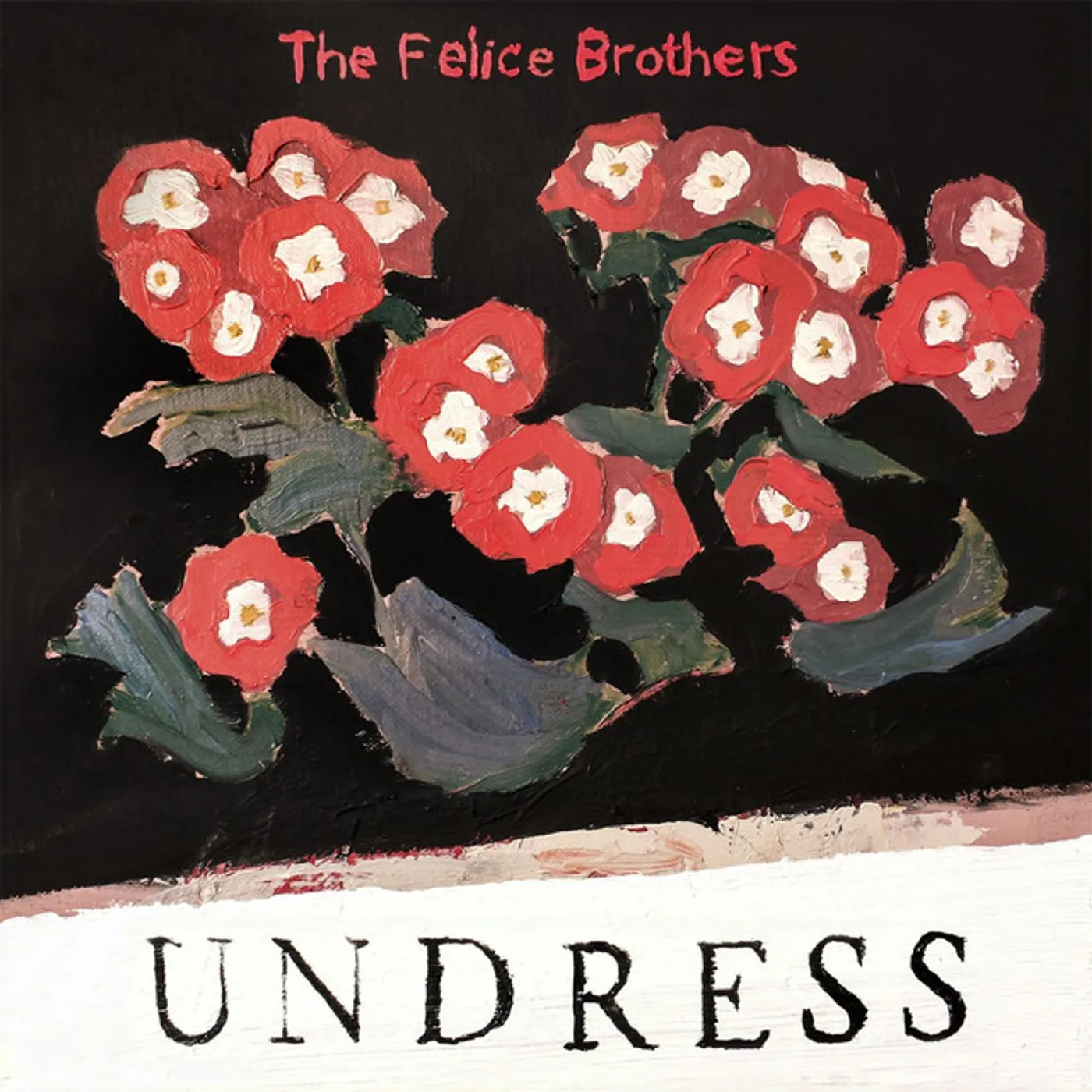 The Felice Brothers Undress Vinyl Record