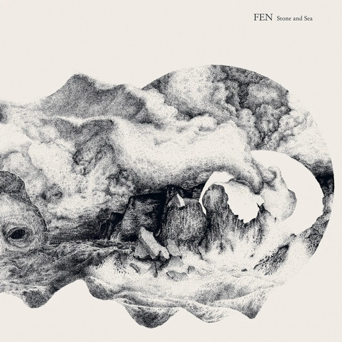 Fen STONE & SEA Vinyl Record