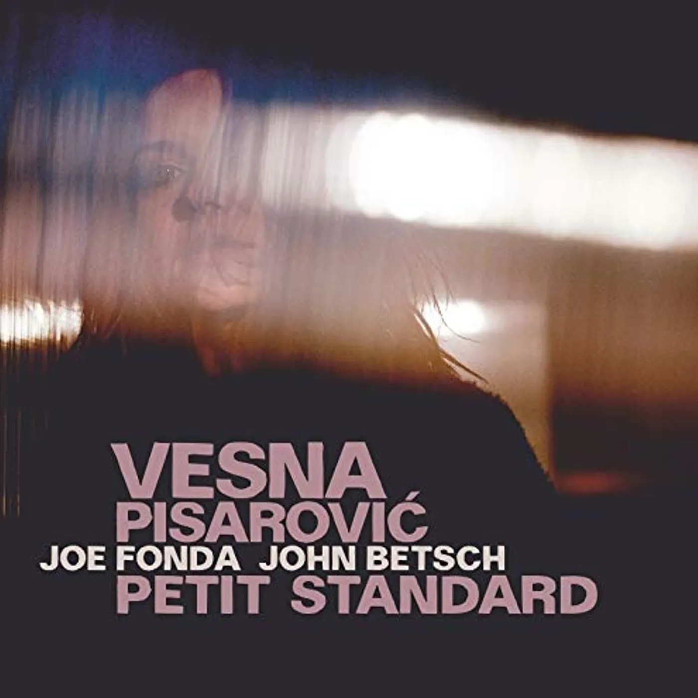 Vesna Pisarovic PETIT STANDARD CD