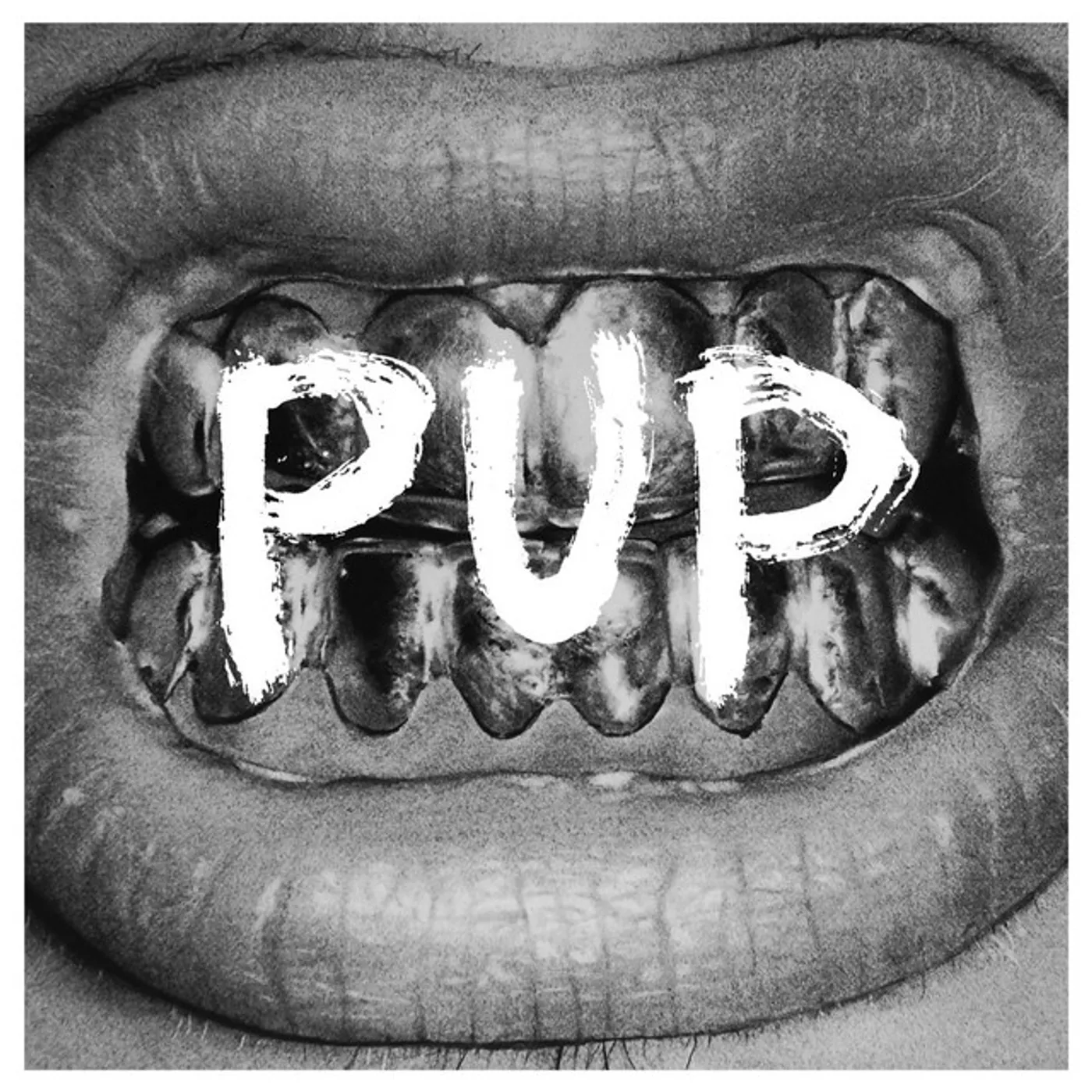 PUP Vinyl Record