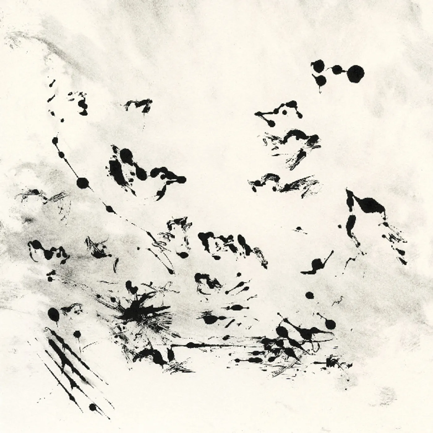 NEØV Volant Vinyl Record
