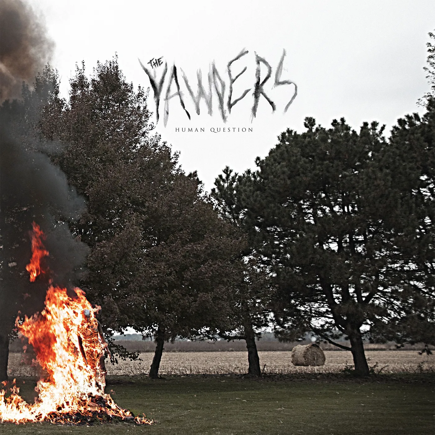 The Yawpers Human Question Vinyl Record