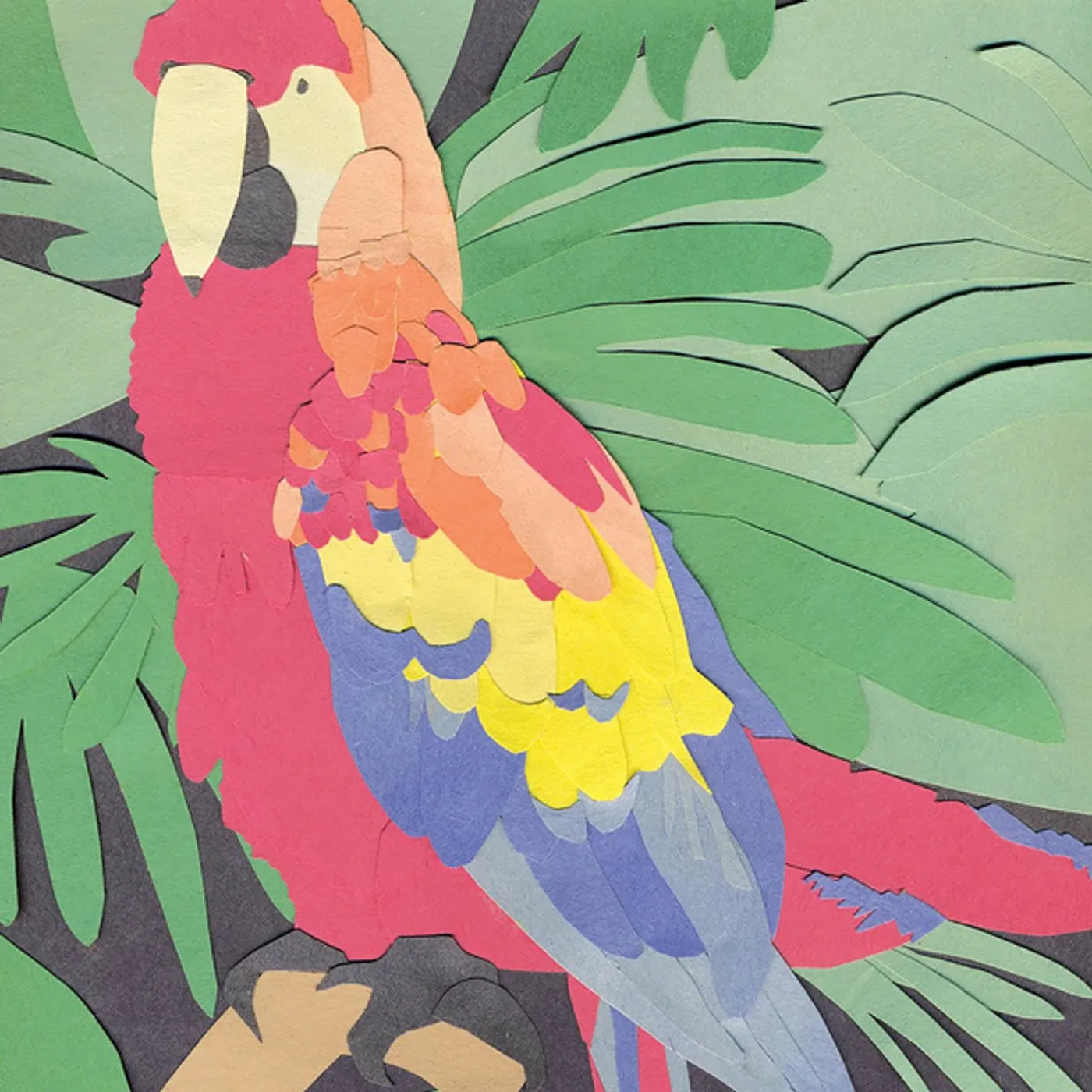 Algernon Cadwallader PARROT FLIES CD