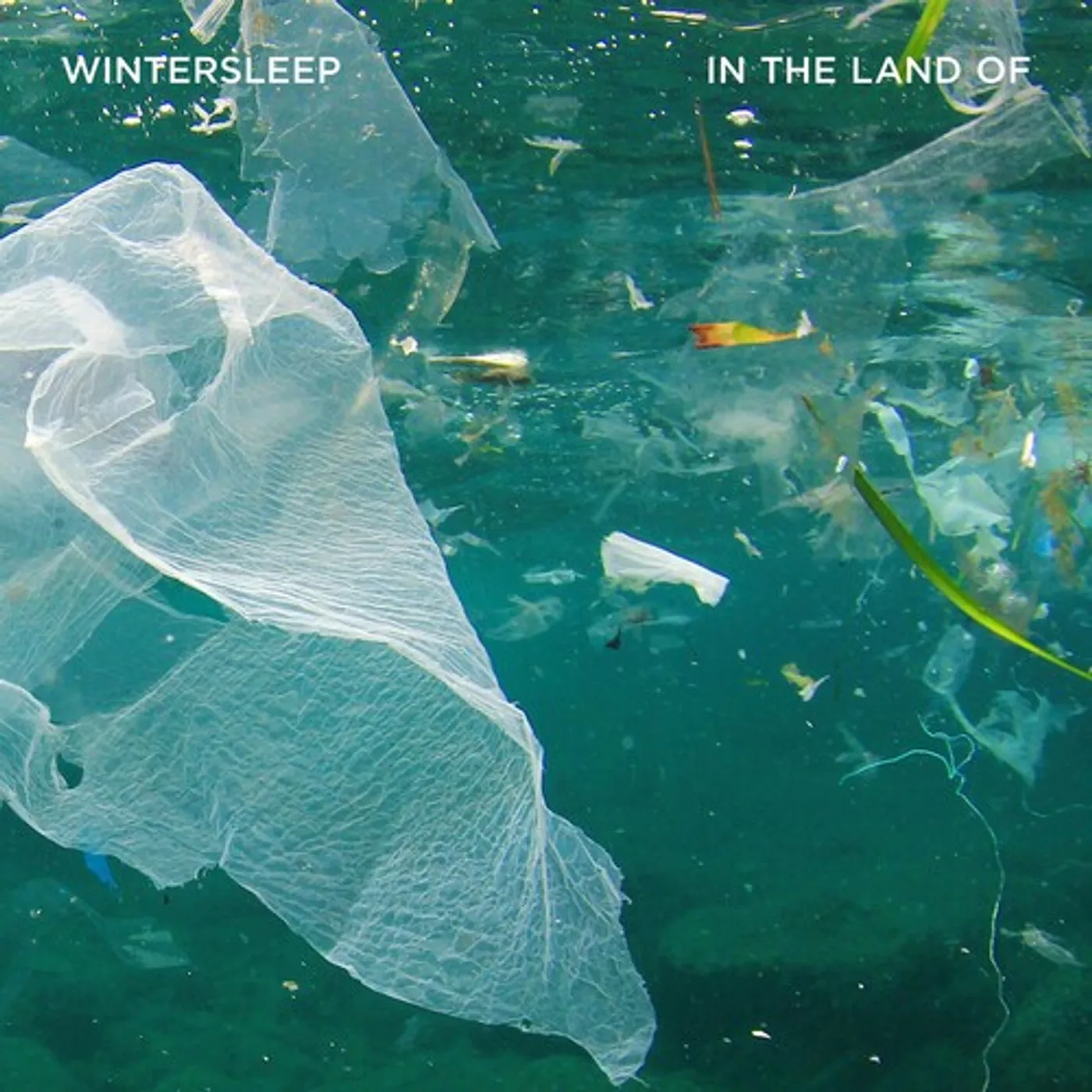 Wintersleep In The Land Of Vinyl Record