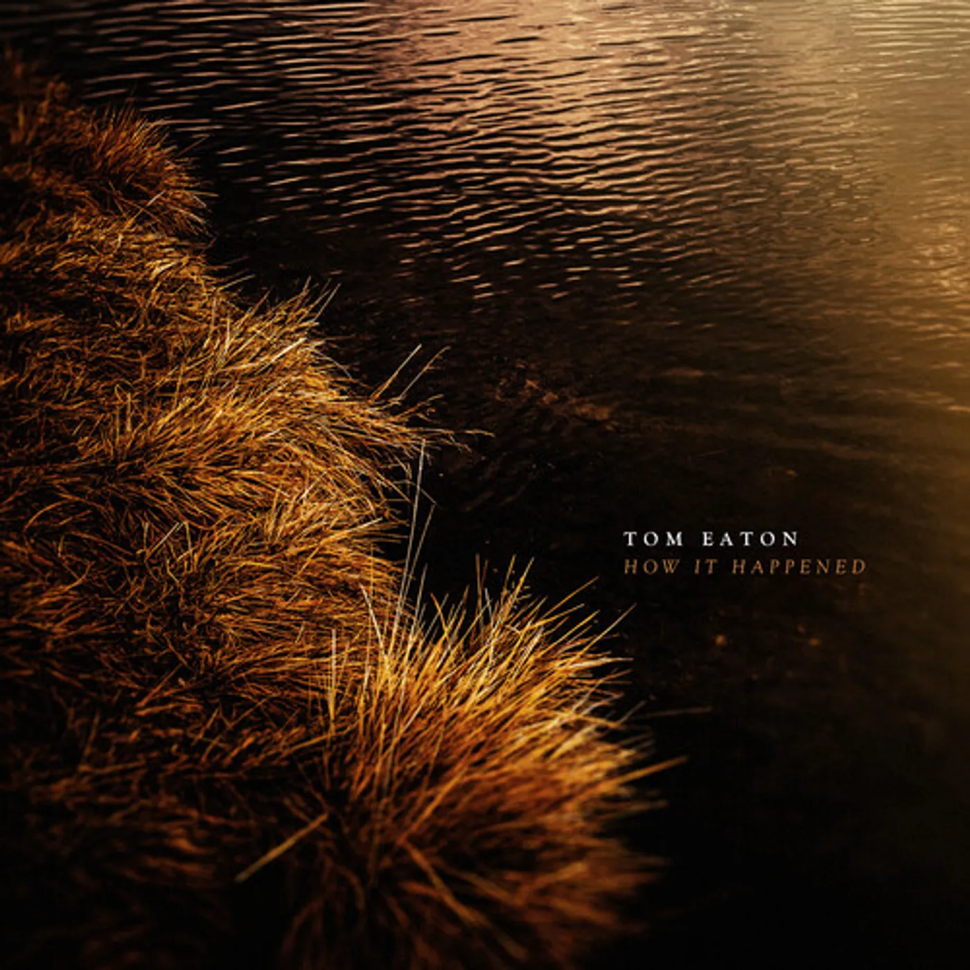 Tom Eaton HOW IT HAPPENED CD