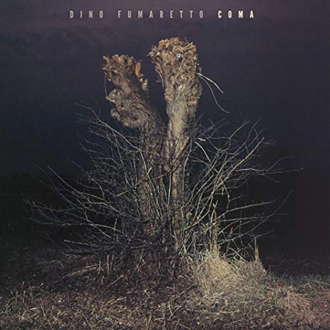 Dino Fumaretto COMA CD