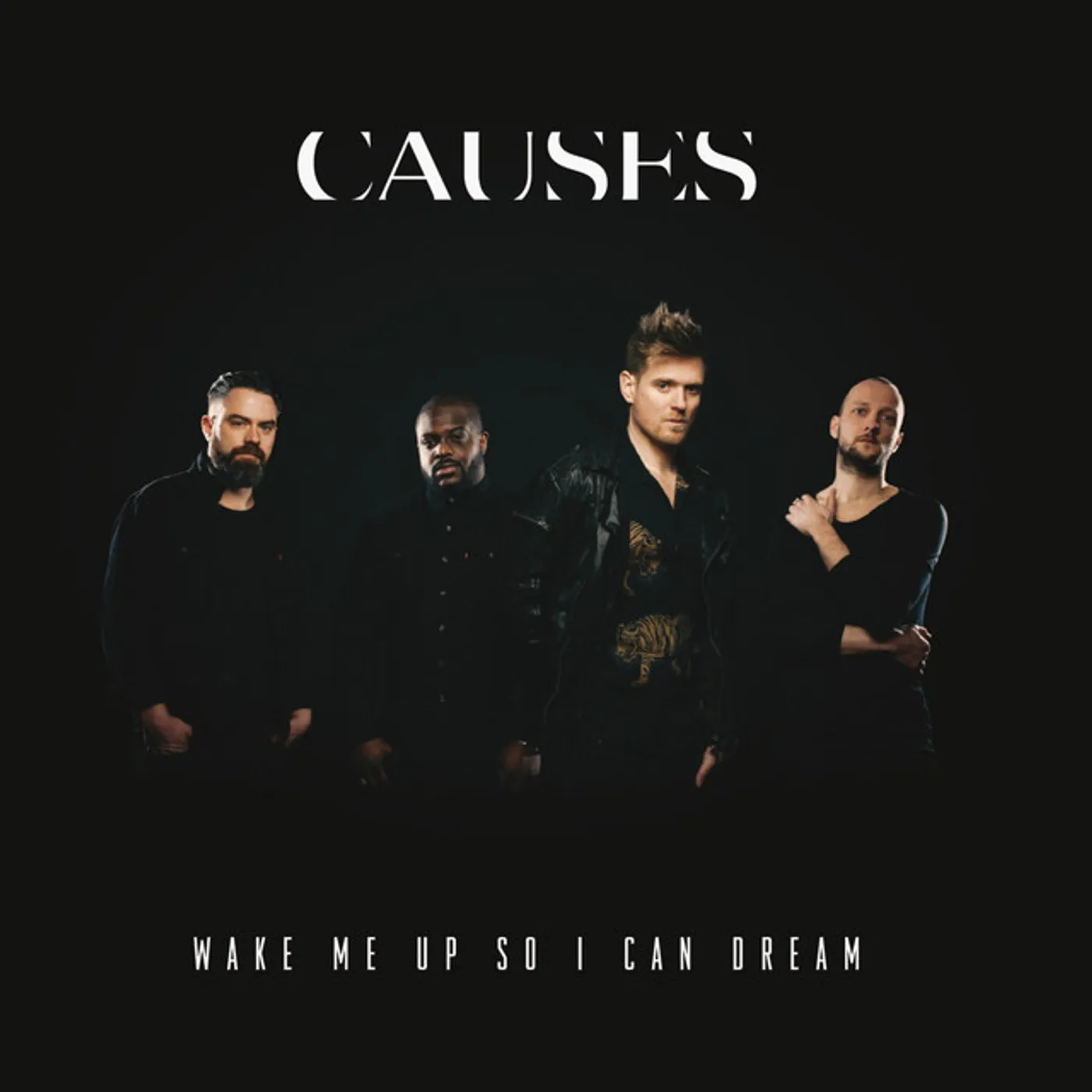Causes WAKE ME UP SO I CAN DREAM CD