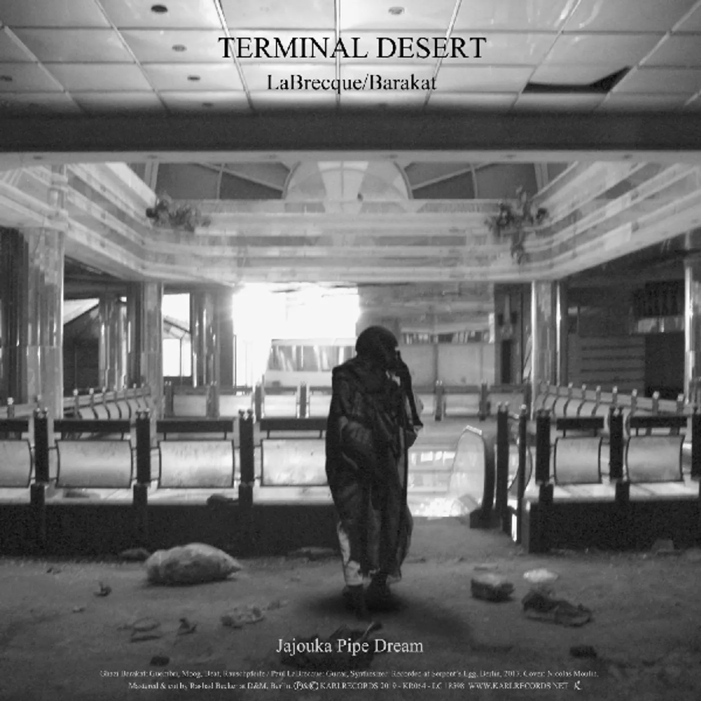 Labrecque / Barakat Terminal Desert Vinyl Record