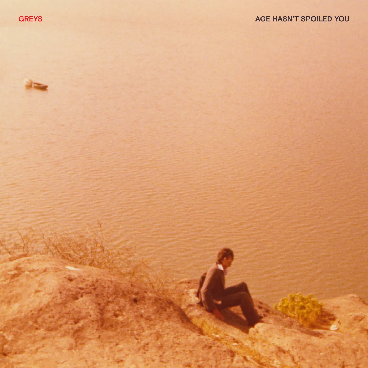 Greys Age Hasn't Spoiled You Vinyl Record