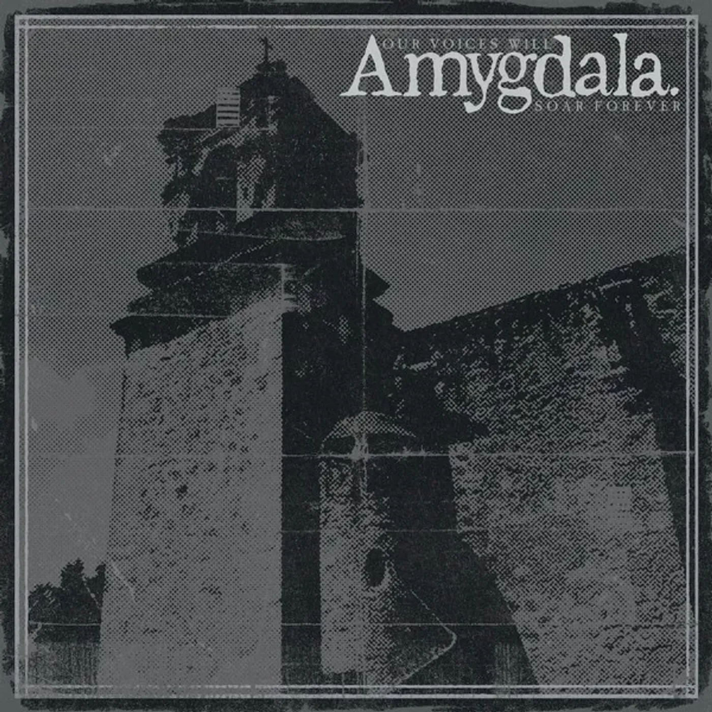 Amygdala OUR VOICES WILL SOAR FOREVER CD