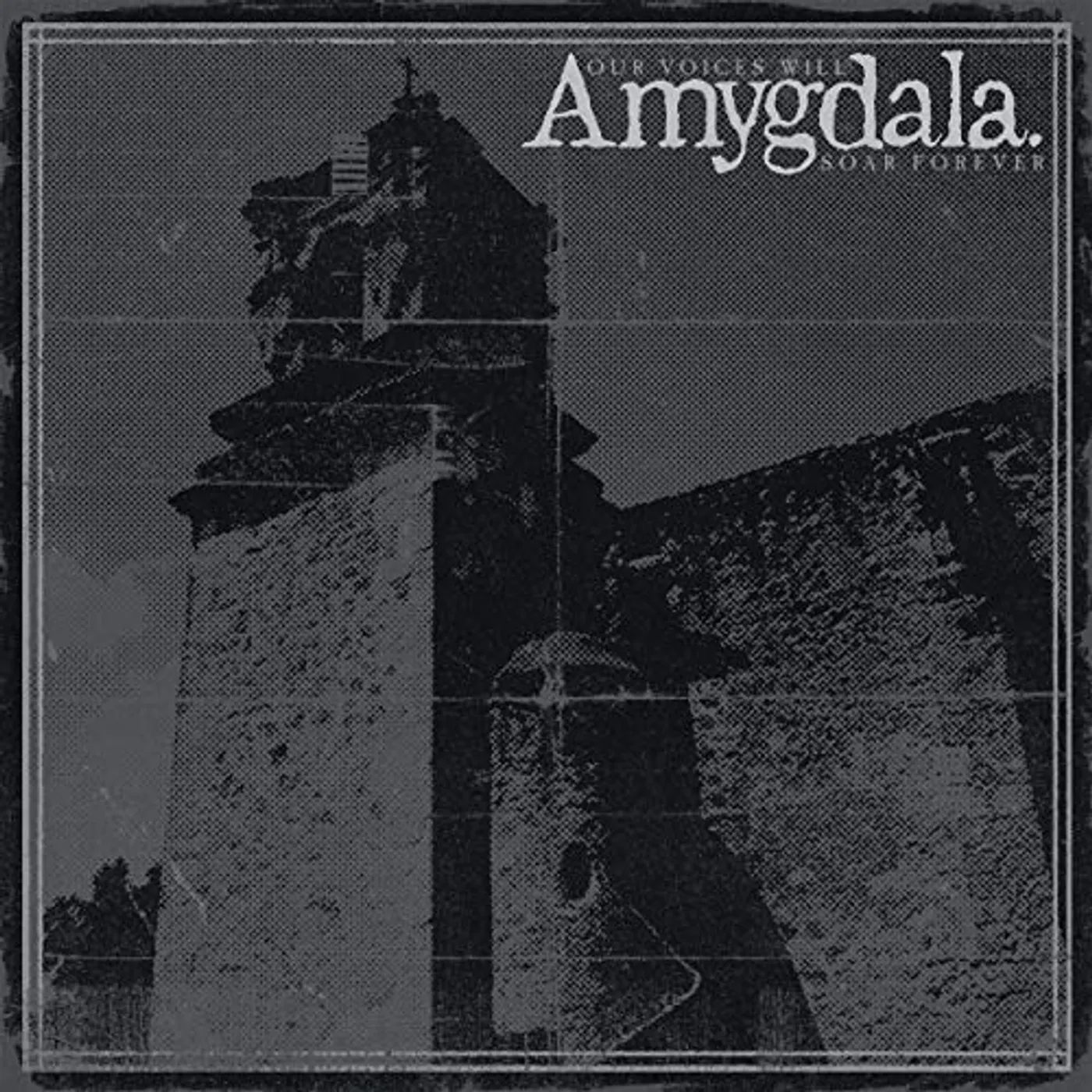 Amygdala Our Voices Will Soar Forever Vinyl Record