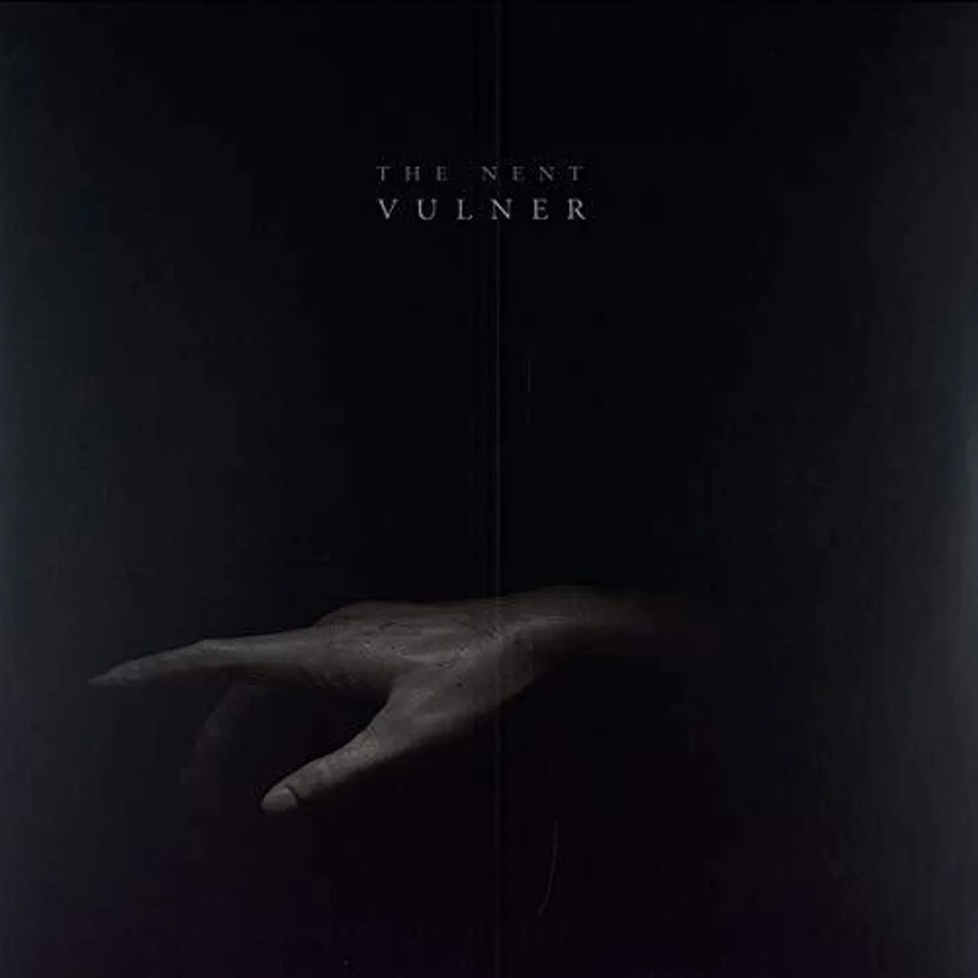 The Nent Vulner Vinyl Record