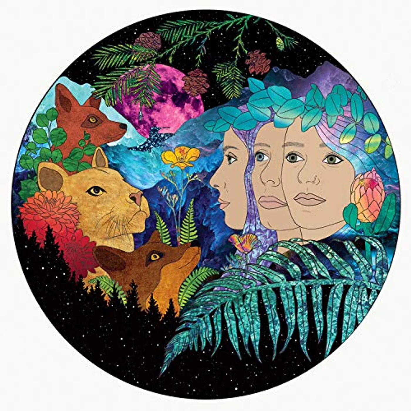 T Sisters We Are Bound Vinyl Record